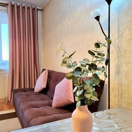 Apartment На Стрелке С Красивым Видом На Иртыш Ust-Kamenogorsk ภายนอก รูปภาพ