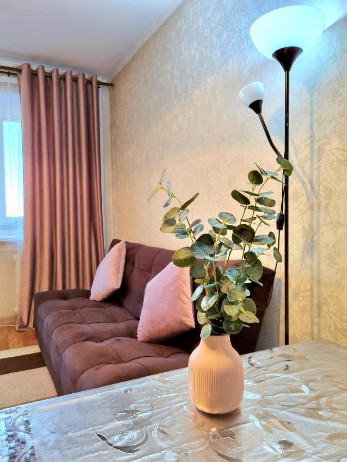 Apartment На Стрелке С Красивым Видом На Иртыш Ust-Kamenogorsk ภายนอก รูปภาพ